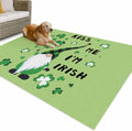 Outdoor Rug 5x8ft Happy St. Patrick's Day Gnome with Lucky Patio Area Rugs Waterproof Easy Cleaning Non Shedding Thick Mats Green Carpet for Indoor Outdoor Porch Deck Backyard Balcony