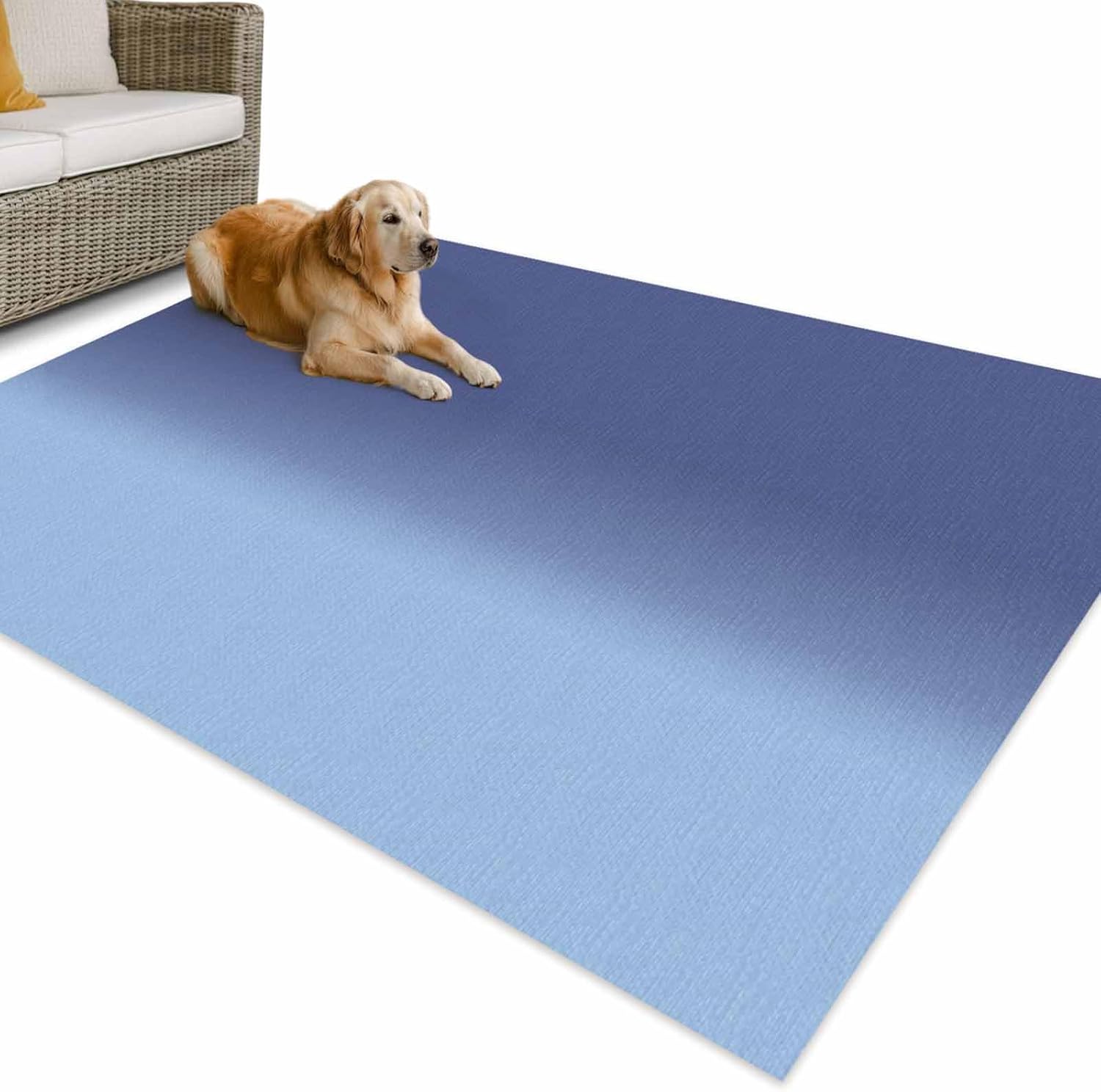 Outdoor Rug 4x6ft Patio Area Rugs Waterproof Easy Cleaning Non Shedding Thick Mats Carpet for Indoor Outdoor Porch Deck Backyard Balcony