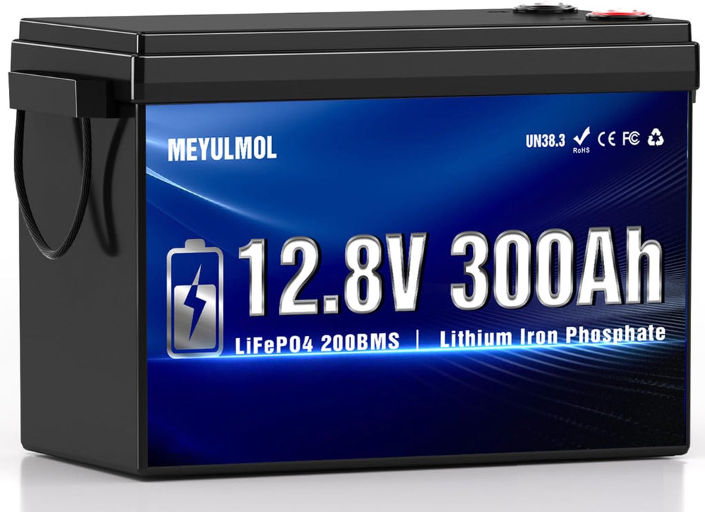 12V 300Ah LiFePO4 Lithium Battery, Upgraded 200A BMS System, Up to 15000+ Cycles Life, 3840Wh Rechargeable Lithium Battery with Low-Temp Protection for RV Solar Marine Solar Panel Camping