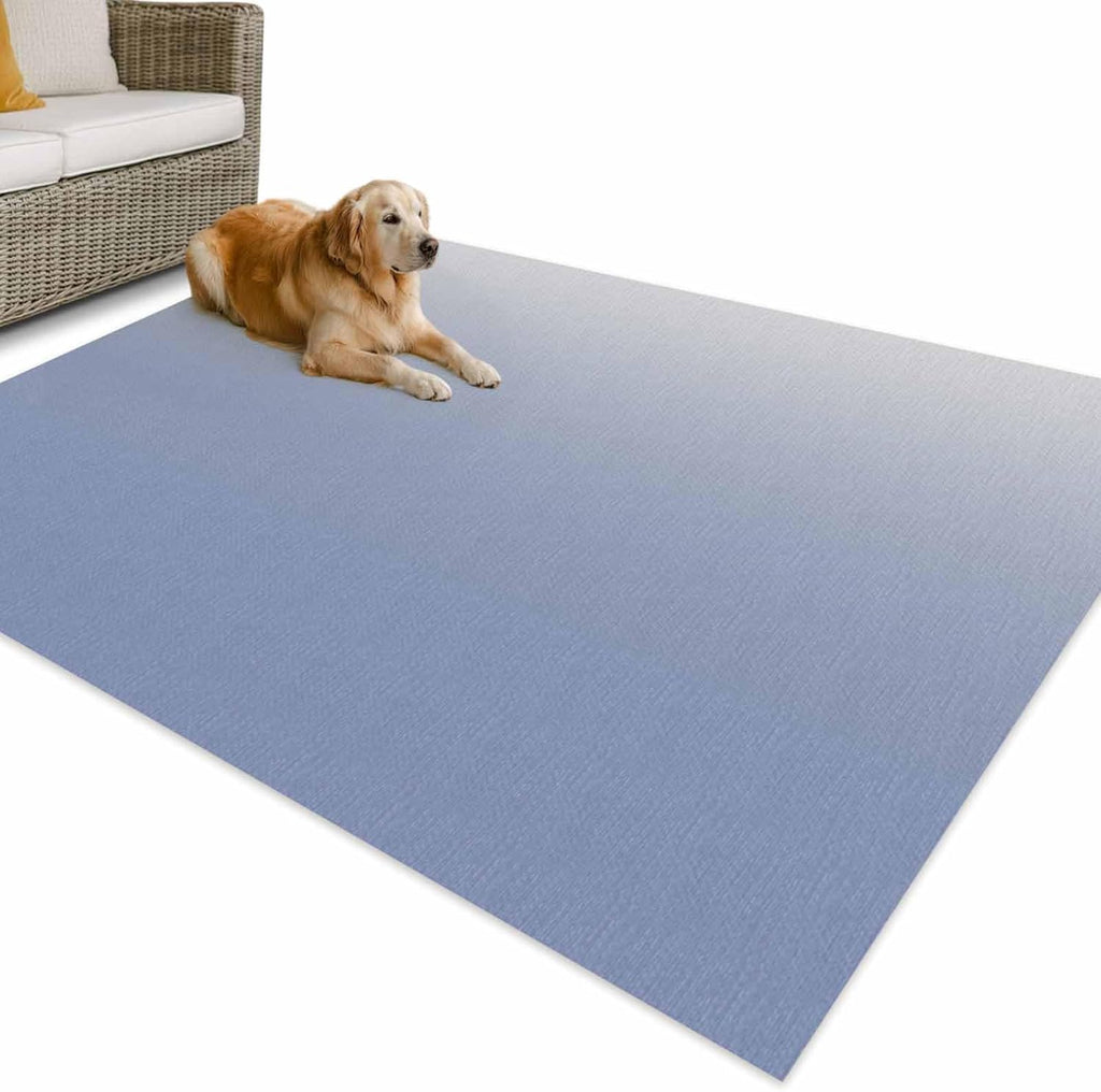 Outdoor Rug 4x6ft Ombre Art Color Gradient Patio Area Rugs Waterproof Easy Cleaning Non Shedding Thick Mats Minimalist Carpet for Indoor Outdoor Porch Deck Backyard Balcony
