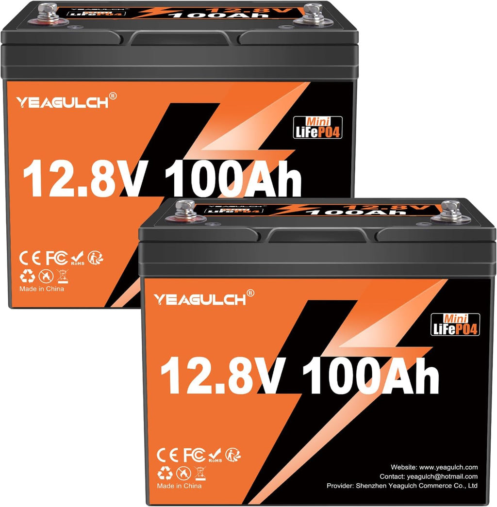 2 Pack 12V 100Ah Mini LiFePO4 Lithium Battery Built-in 100A BMS 1.28kWh 10-Year Lifespan Rechargeable Battery 6000 Deep Cycles Perfect for RV Solar System Camping Off-Grid