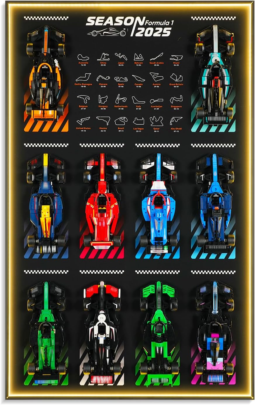Display Wallboard with RGB LED Lights for Lego Speed Champions Race Car Collector's Pack,Wall Mount for 77242-77251 Collectible Model Car Kit (Car Not Included)