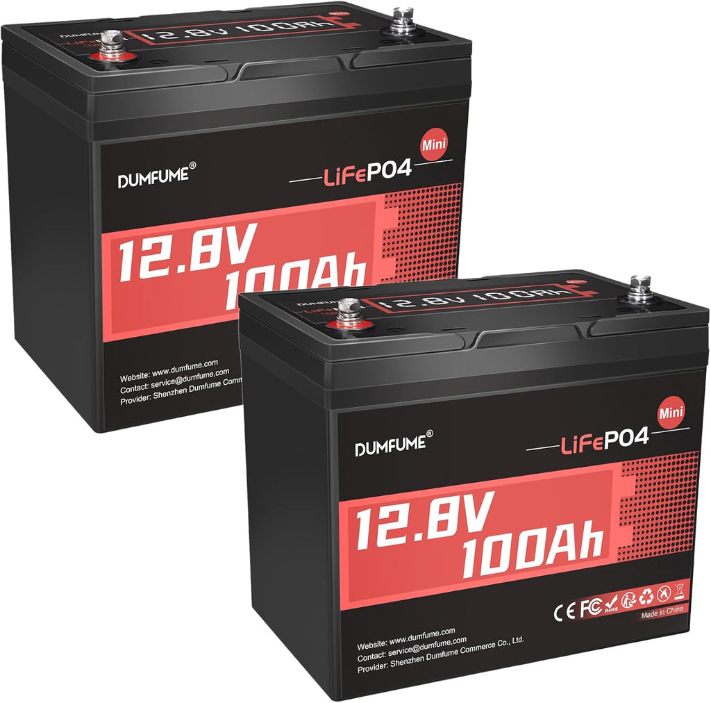 2 Pack 12V 100Ah Mini LiFePO4 Battery, Built-in 100A BMS,1280Wh Deep Cycle Rechargeable Lithium Battery 6000+ Cycles 10-Year Lifespan for RV, Solar, Off-Grid and Home Energy Storage