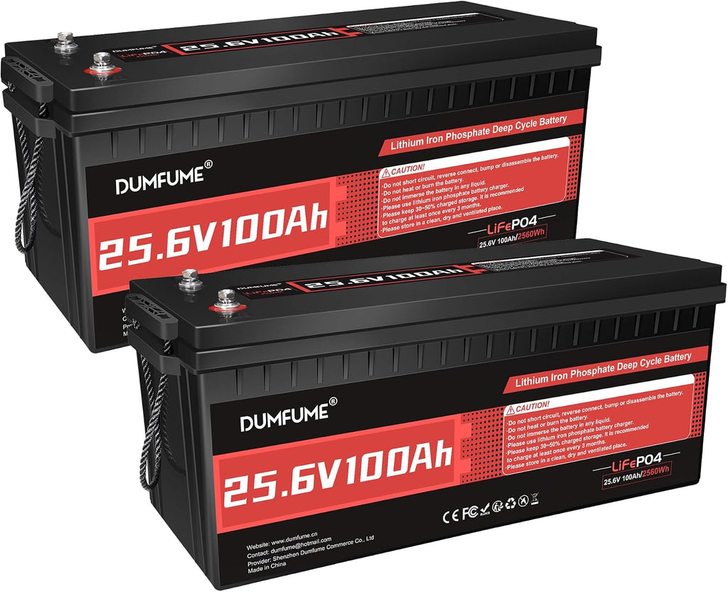 2 Pack Dumfume 24V 100Ah LiFePO4 Lithium Battery 100A BMS,2560WH Rechargeable Lithium Iron Phosphate Battery Perfect for RV, Solar, Off-Grid, Camping, Home Backup
