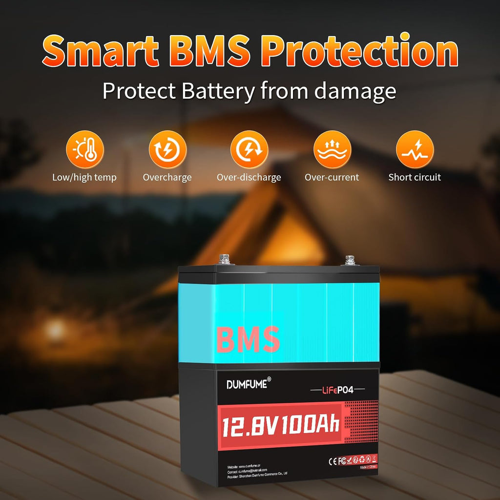 2 Packs 12V 100Ah LiFePO4 Lithium Battery, Built in 100A BMS, 1280W Power Output, Up to 6000+ Cycles, Ideal for RV, Solar Off-Grid Systems, Home Energy Storage