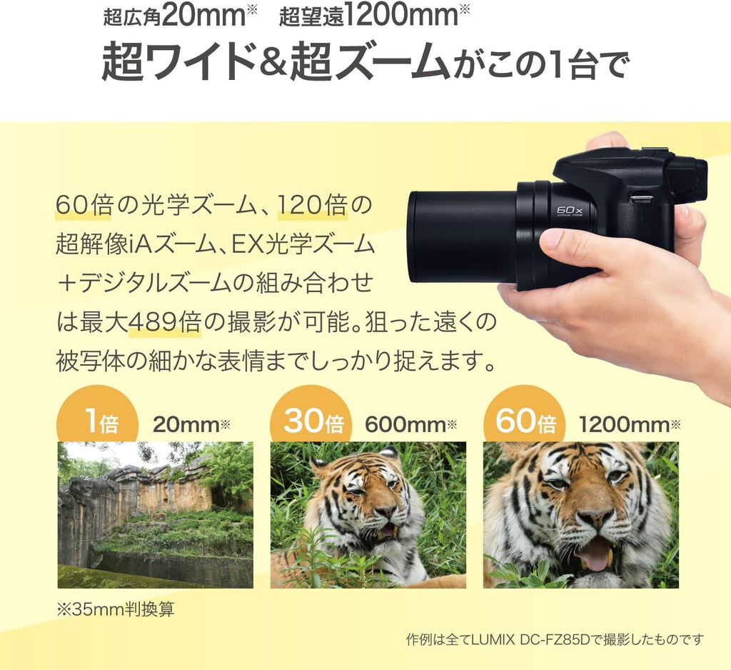 Panasonic LUMIX FZ80D/FZ85D Compact Camera with 20-1200mm Zoom Lens, Point and Shoot Digital Camera with 4K Video/Photo Recording and Power Optical Image Stabilizer (Black)