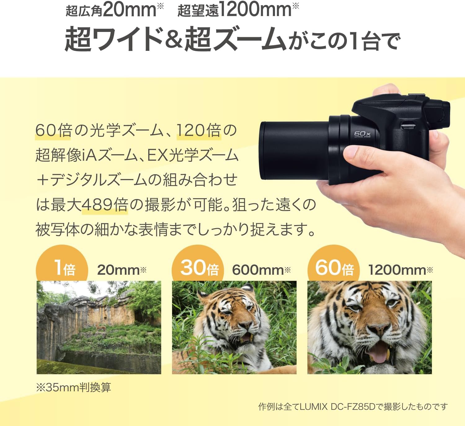Panasonic LUMIX FZ80D/FZ85D Compact Camera with 20-1200mm Zoom Lens, Point and Shoot Digital Camera with 4K Video/Photo Recording and Power Optical Image Stabilizer (Black)