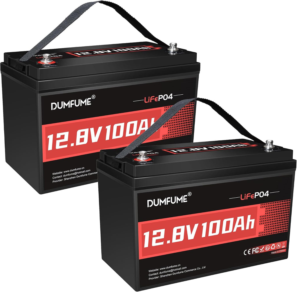 2 Packs 12V 100Ah LiFePO4 Lithium Battery, Built in 100A BMS, 1280W Power Output, Up to 6000+ Cycles, Ideal for RV, Solar Off-Grid Systems, Home Energy Storage