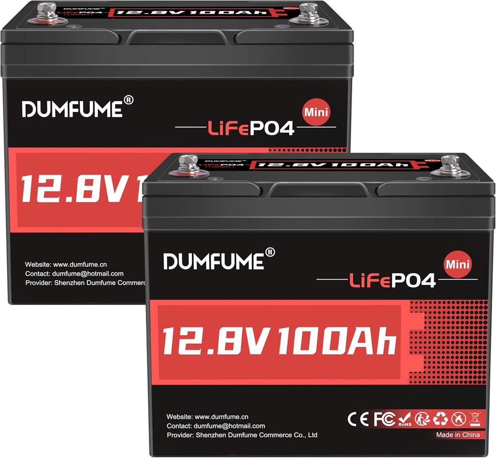 2 Pack 12V 100Ah Mini LiFePO4 Lithium Battery,100A BMS 1280Wh BCI Group 24 Lithium Iron Phosphate Battery 6000+ Cycles Perfect for RV, Solar, Home Energy Storage