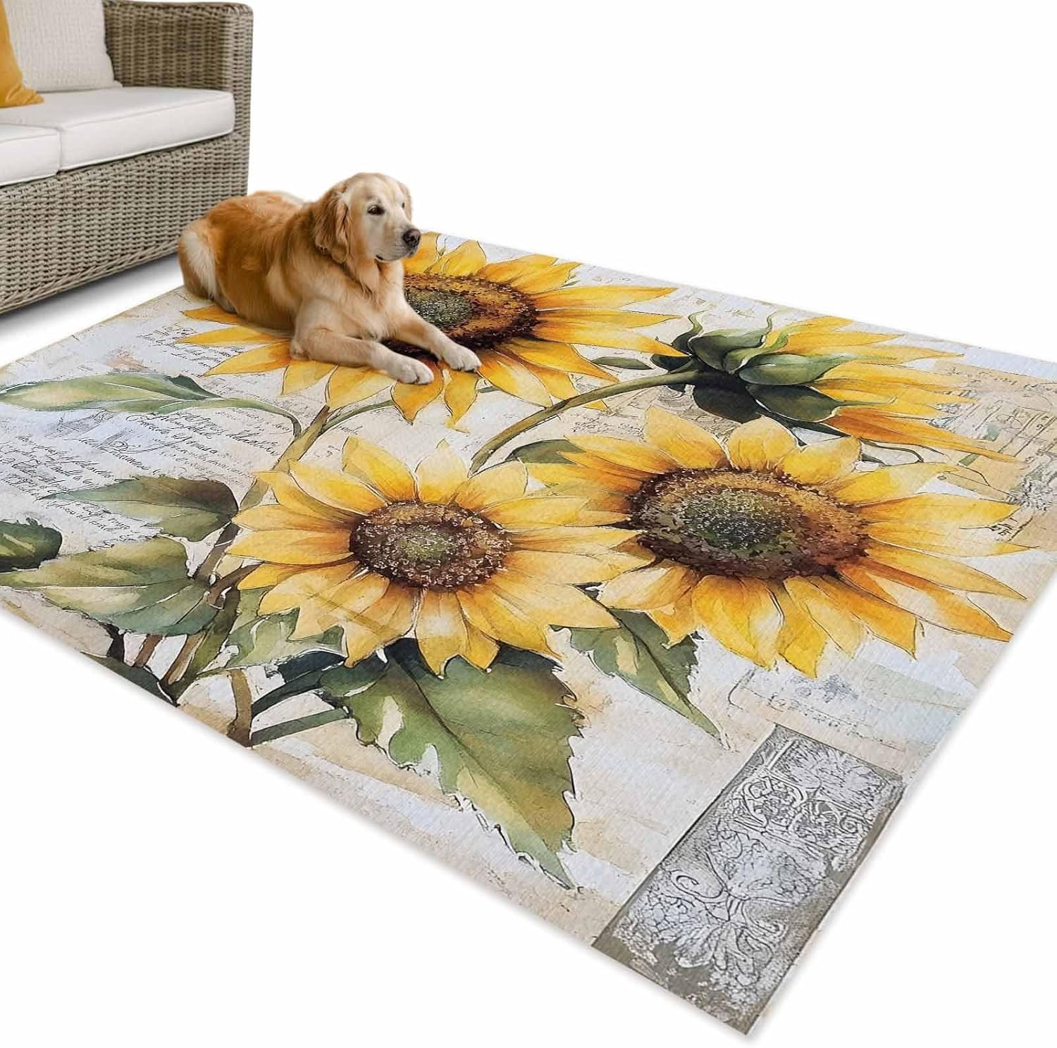 Outdoor Rug 4x6ft Summer Country Blossom Sunflowerretro Newspaper Backdrop Patio Area Rugs Waterproof Easy Cleaning Non Shedding Thick Mats Carpet for Indoor Outdoor Porch Deck Backyard Balcony