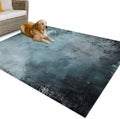 Outdoor Rug 4x6ft Shabby Chic Teal Colored Artwork Patio Area Rugs Waterproof Easy Cleaning Non Shedding Thick Mats Abstract Carpet for Indoor Outdoor Porch Deck Backyard Balcony