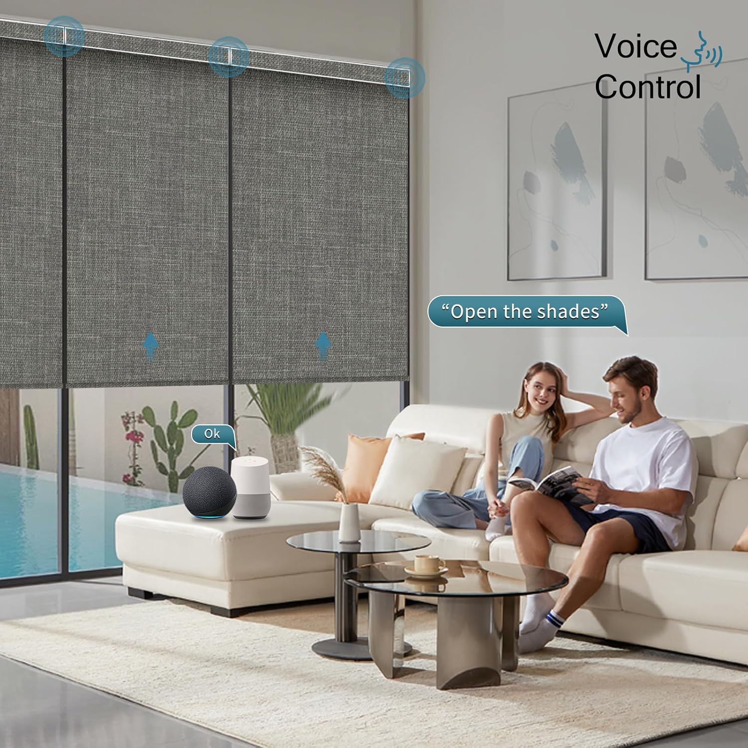 Motorized Roller Shade with Remote,100% Blackout Automatic Shades for Windows,Work with Homekit, Alexa, Google Home,Electric Blinds with Solar Pannel,Custom up110''Wx128''H,Gentle Dove