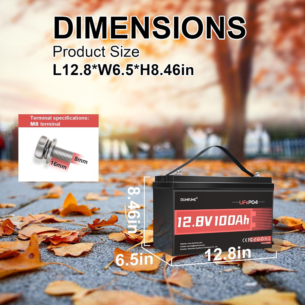 12V 100Ah LiFePO4 Lithium Battery Built-in 100A BMS, Group 31 Rechargeable Battery 6000+ Cycles 1280Wh Perfect for RVs MotorHomes, Camper, Solar System, and Off-Grid