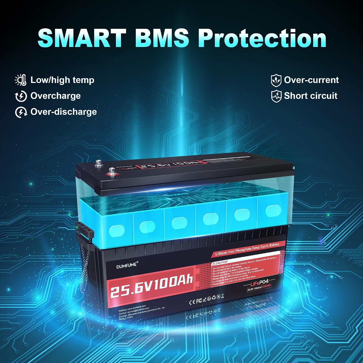 2 Pack Dumfume 24V 100Ah LiFePO4 Lithium Battery 100A BMS,2560WH Rechargeable Lithium Iron Phosphate Battery Perfect for RV, Solar, Off-Grid, Camping, Home Backup