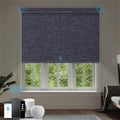 Electric Blinds Compatible with Alexa,Google Home,Motorized Roller Shades with Valance,100% Blackout Automatic Shades for Home&Office,Dark Raven Black