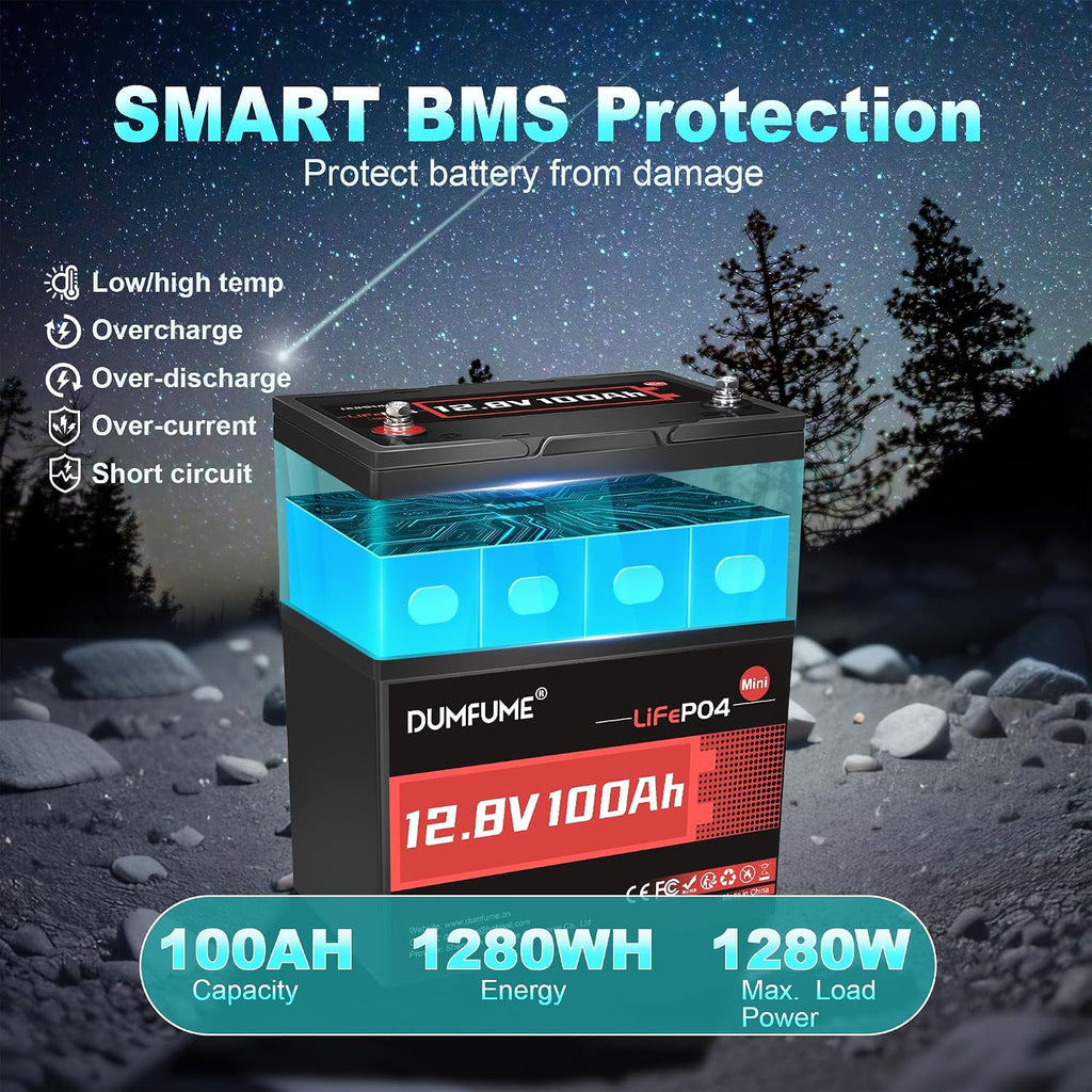 2 Pack 12V 100Ah Mini LiFePO4 Lithium Battery,100A BMS 1280Wh BCI Group 24 Lithium Iron Phosphate Battery 6000+ Cycles Perfect for RV, Solar, Home Energy Storage