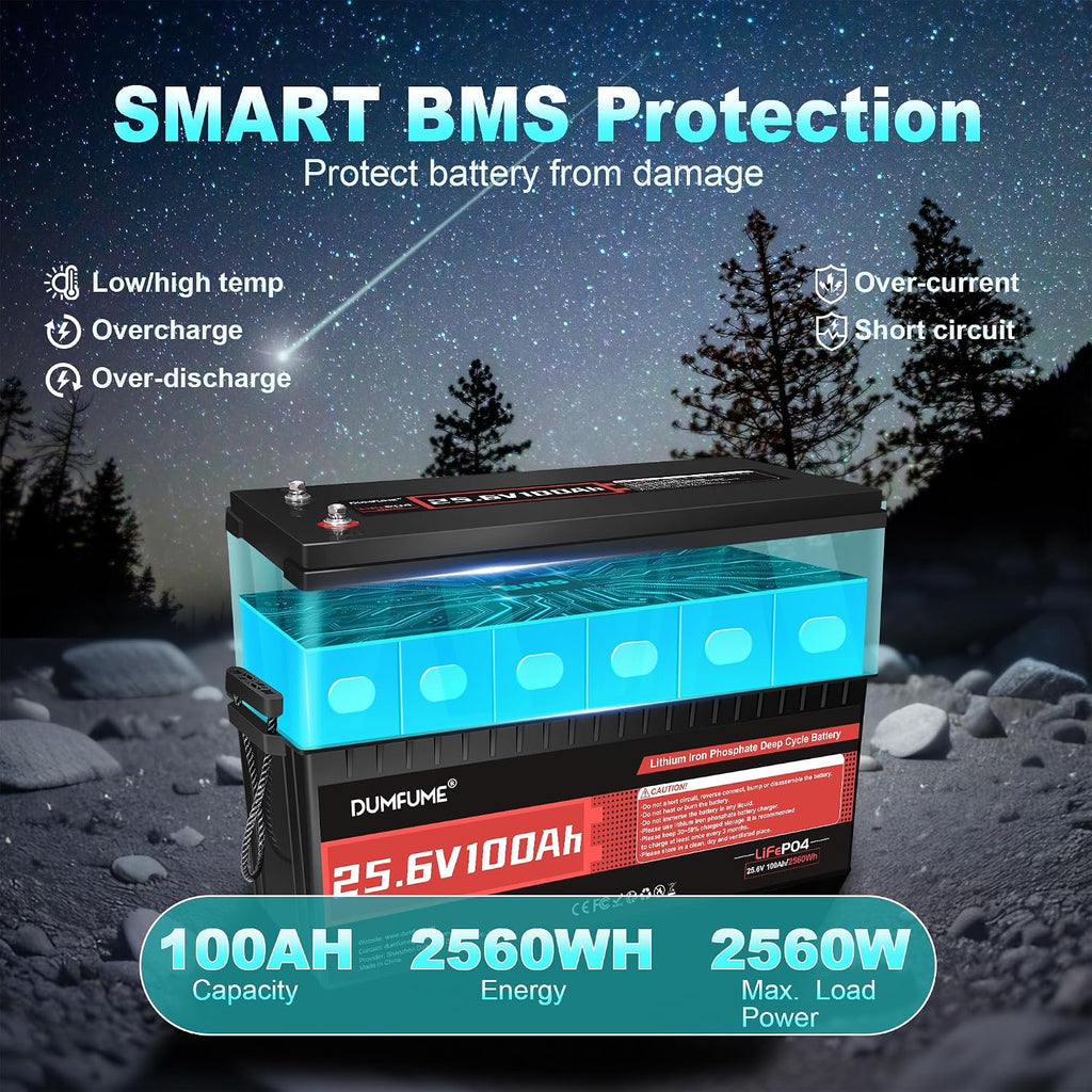 2 Pack 24V 100Ah LiFePO4 Lithium Battery, Built-in 100A BMS, 2560W Power Output, Up to 15000 Cycles, Ideal for RV, and Solar Off-Grid Systems