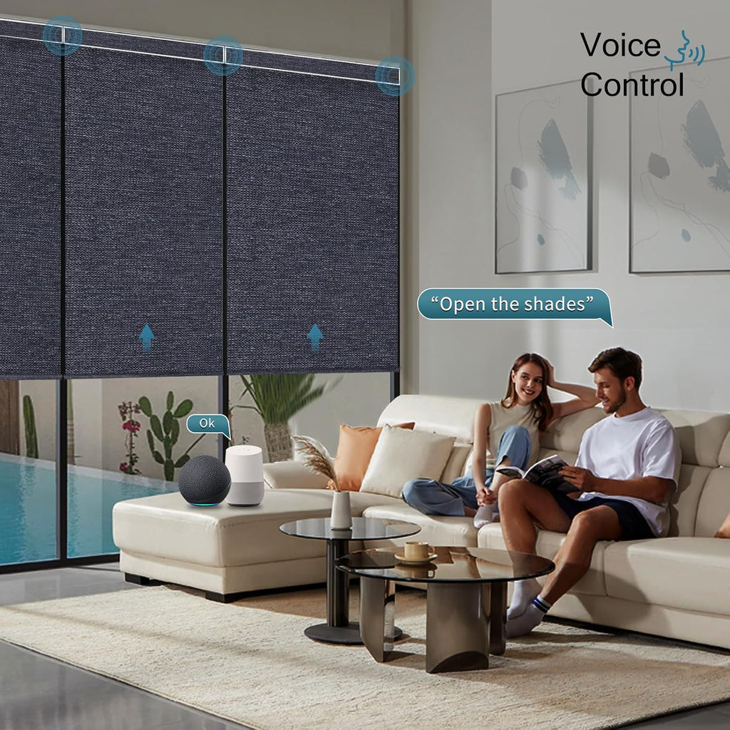 Electric Blinds Compatible with Alexa,Google Home,Motorized Roller Shades with Valance,100% Blackout Automatic Shades for Home&Office,Dark Raven Black