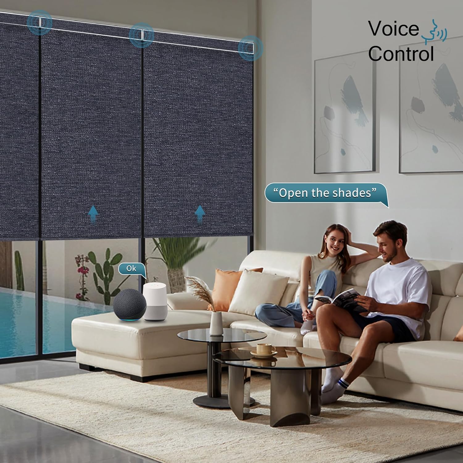 Electric Blinds Compatible with Alexa,Google Home,Motorized Roller Shades with Valance,100% Blackout Automatic Shades for Home&Office,Dark Raven Black