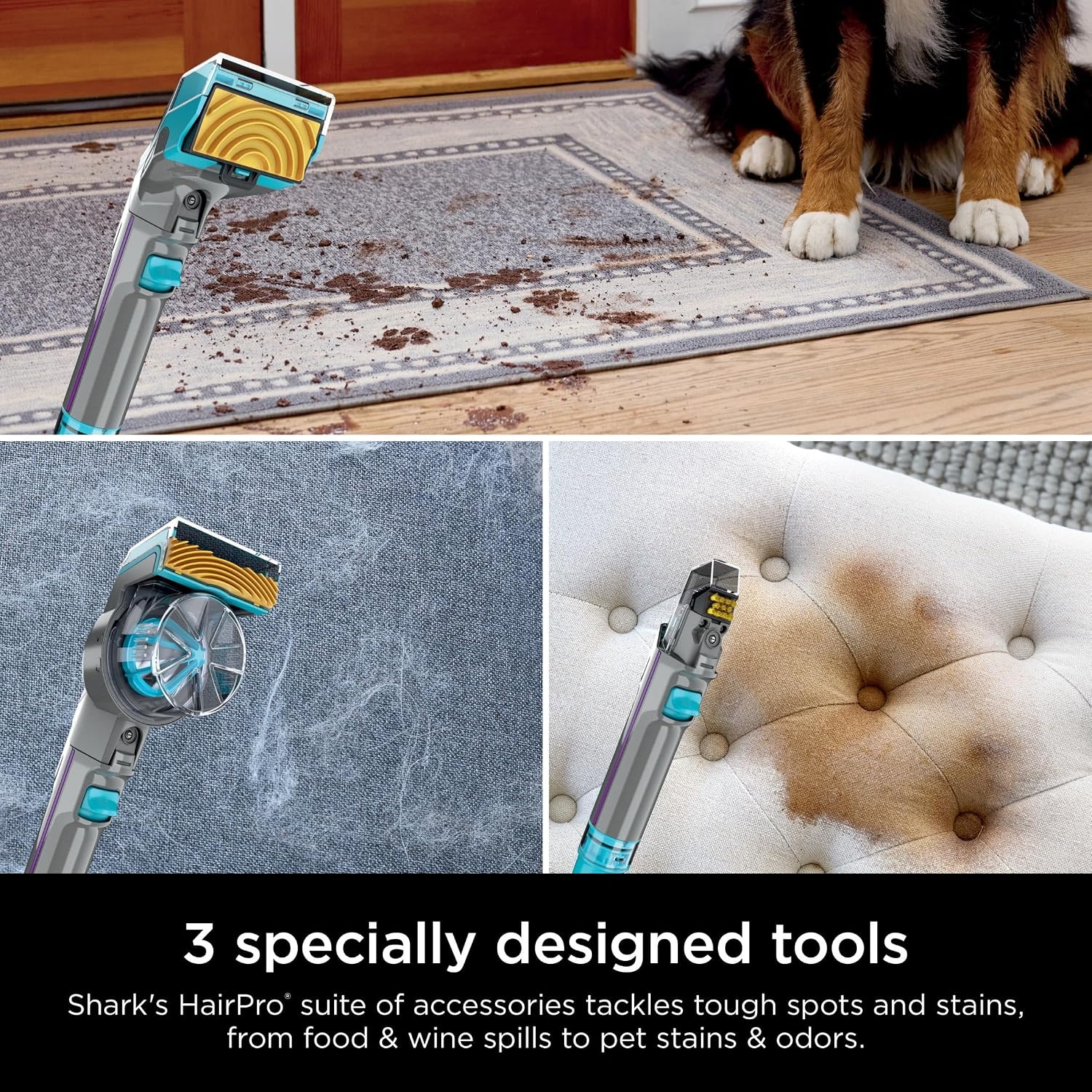 Shark EX300 CarpetXpert HairPro with StainStriker Technology Upright Vacuum, Built-in Spot & Stain Eliminator, Perfect for Pets & Hair Removal, 3 Cleaning Tools, Cleaning Solution (Renewed)