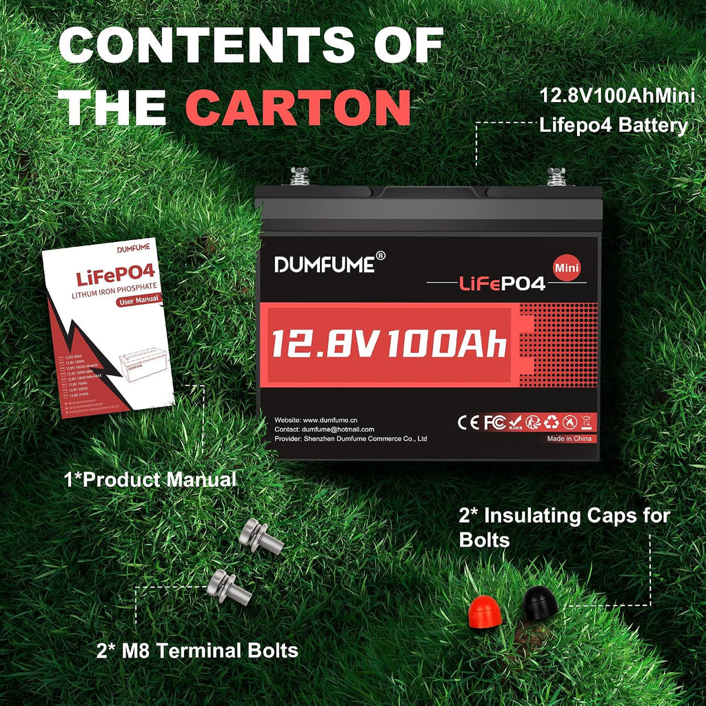 12V 100Ah Mini LiFePO4 Lithium Battery, Built-in 100A BMS,1280Wh Deep Cycle Rechargeable Battery 6000+ Cycles 10-Year Lifespan for RV, Solar, Off-Grid and Home Energy Storage